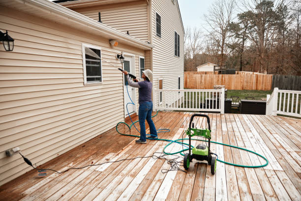 Best Exterior Home Cleaning  in Benld, IL