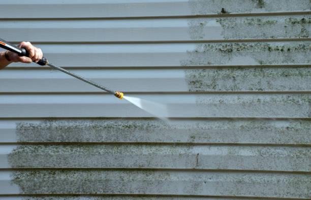 Best House Pressure Washing  in Benld, IL