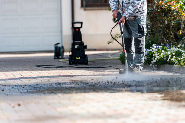 Best Local Pressure Washing Services  in Benld, IL
