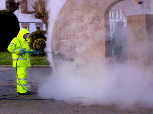 Best Pressure Washing Services Near Me  in Benld, IL