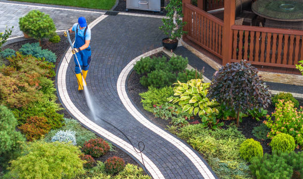 Best Roof Power Washing Services  in Benld, IL